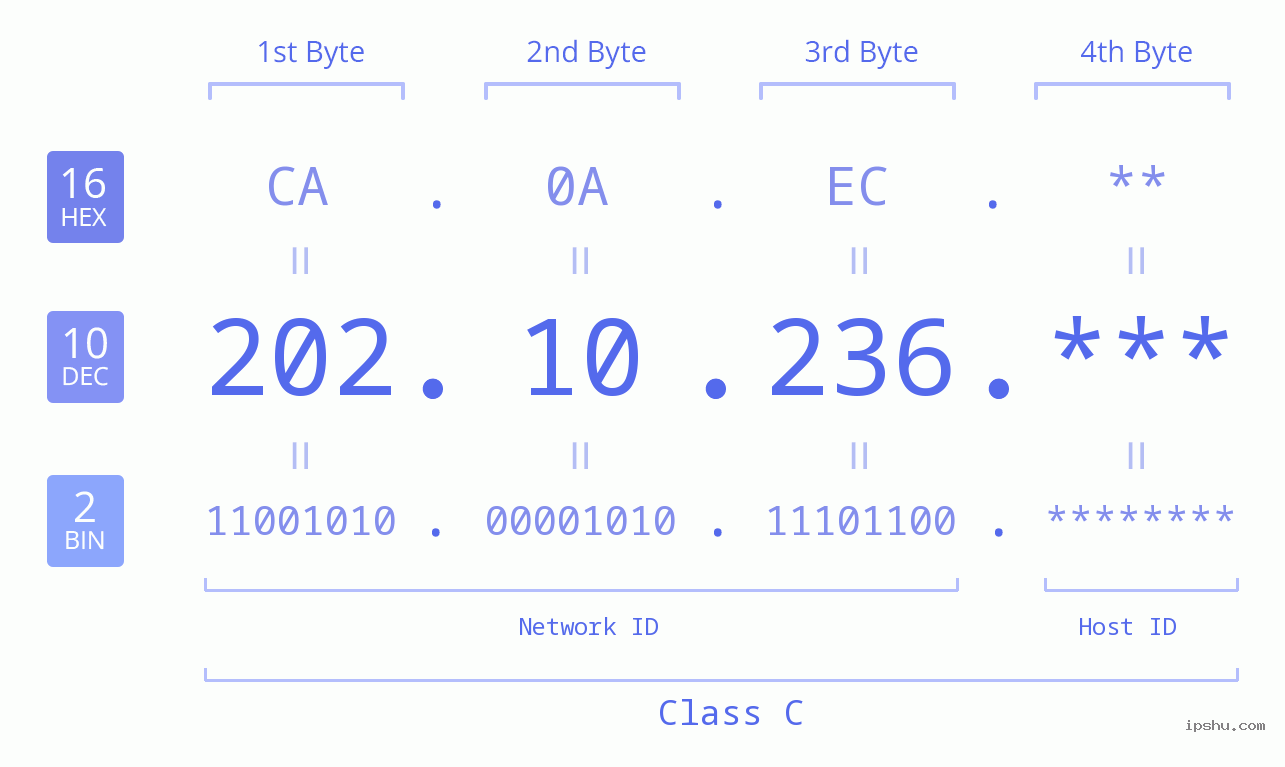 IP Address: 202.10.236 Data Structure Chart BIN DEC HEX IPv4: 202.10.236 Network Class, Net ID, Host ID