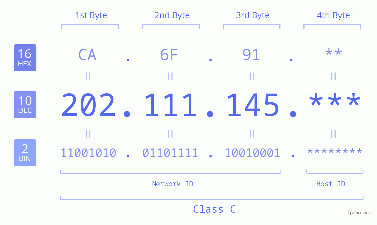IP Address: 202.111.145 Data Structure Chart BIN DEC HEX IPv4: 202.111.145 Network Class, Net ID, Host ID