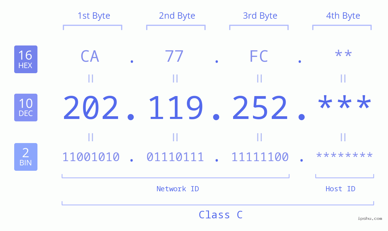IP Address: 202.119.252 Data Structure Chart BIN DEC HEX IPv4: 202.119.252 Network Class, Net ID, Host ID