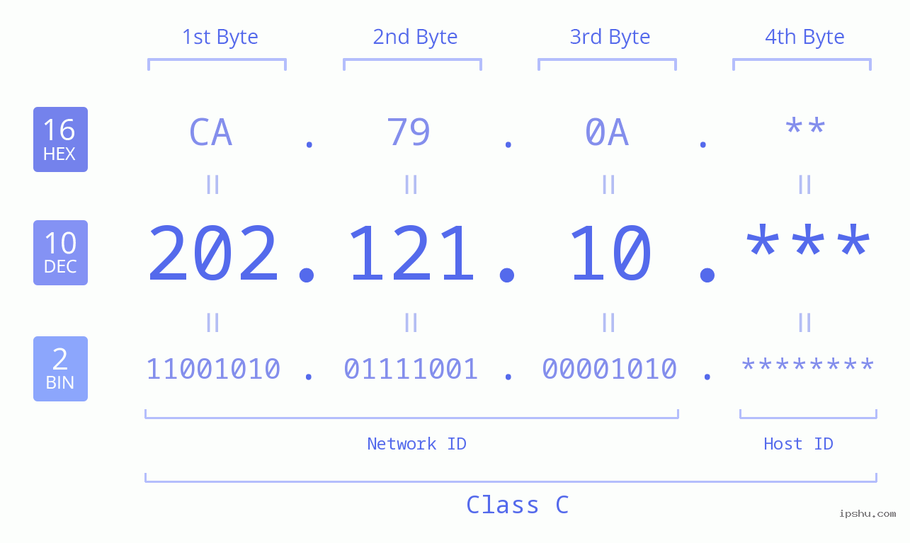IP Address: 202.121.10 Data Structure Chart BIN DEC HEX IPv4: 202.121.10 Network Class, Net ID, Host ID