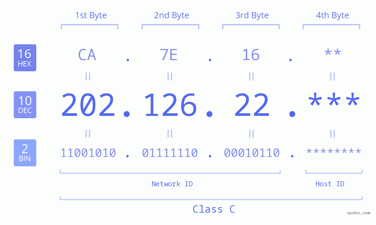 IP Address: 202.126.22 Data Structure Chart BIN DEC HEX IPv4: 202.126.22 Network Class, Net ID, Host ID