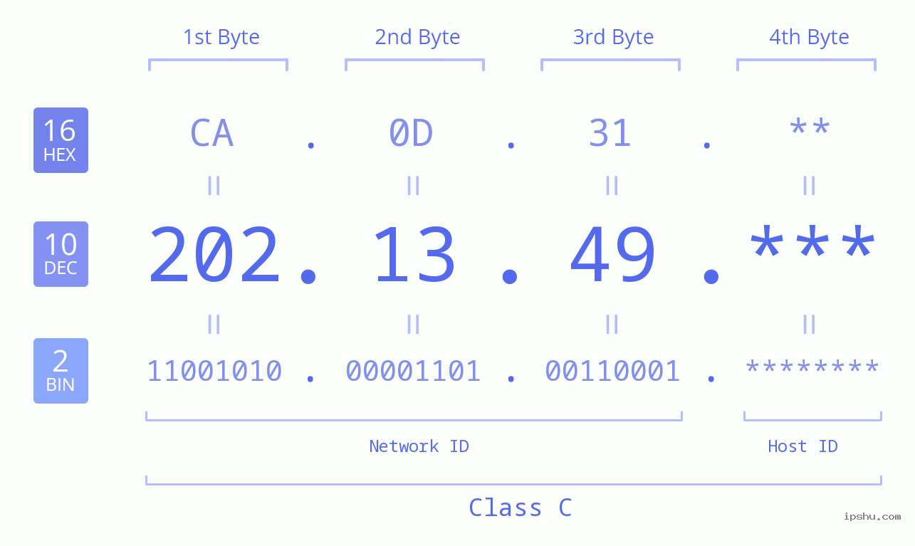 IP Address: 202.13.49 Data Structure Chart BIN DEC HEX IPv4: 202.13.49 Network Class, Net ID, Host ID