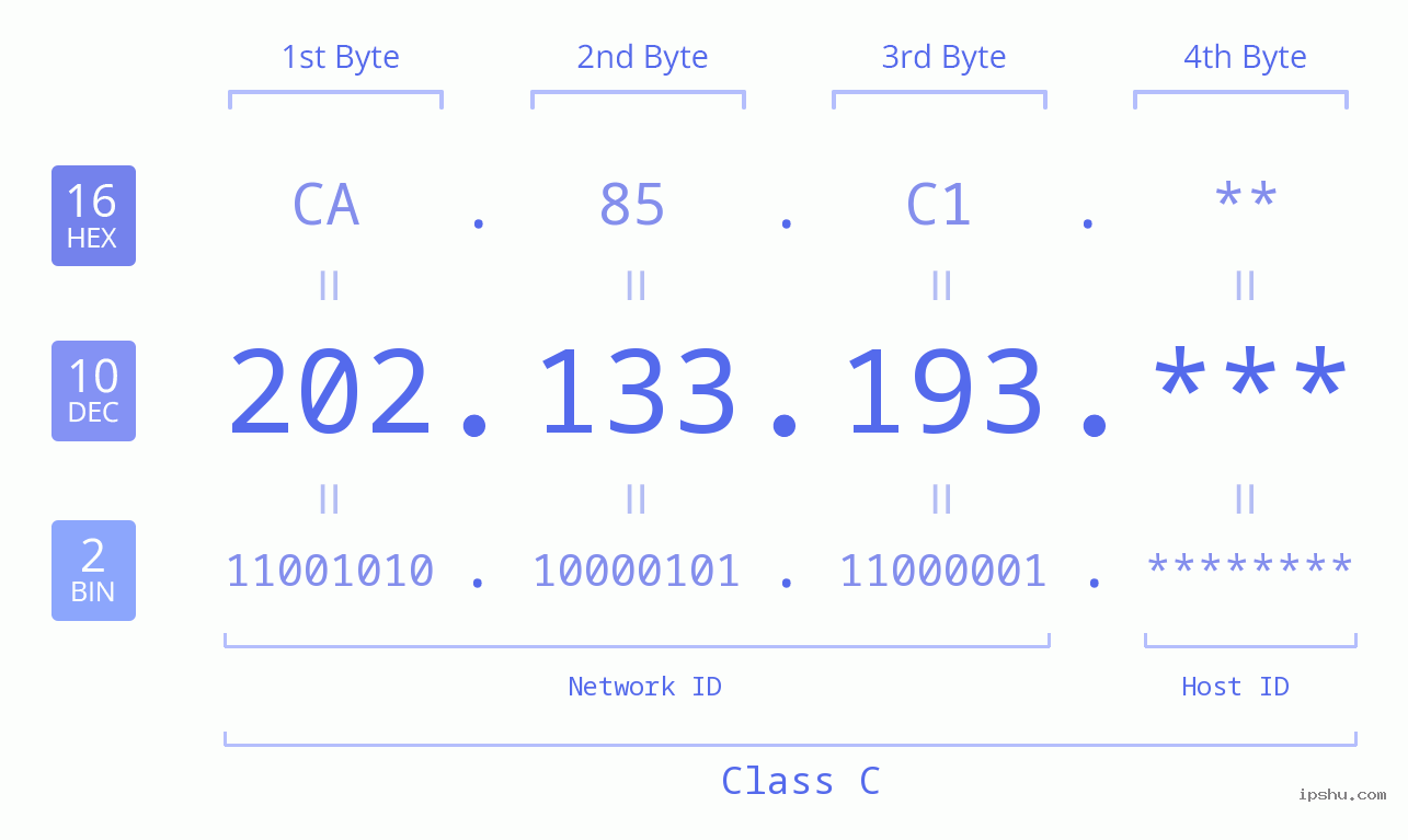 IP Address: 202.133.193 Data Structure Chart BIN DEC HEX IPv4: 202.133.193 Network Class, Net ID, Host ID