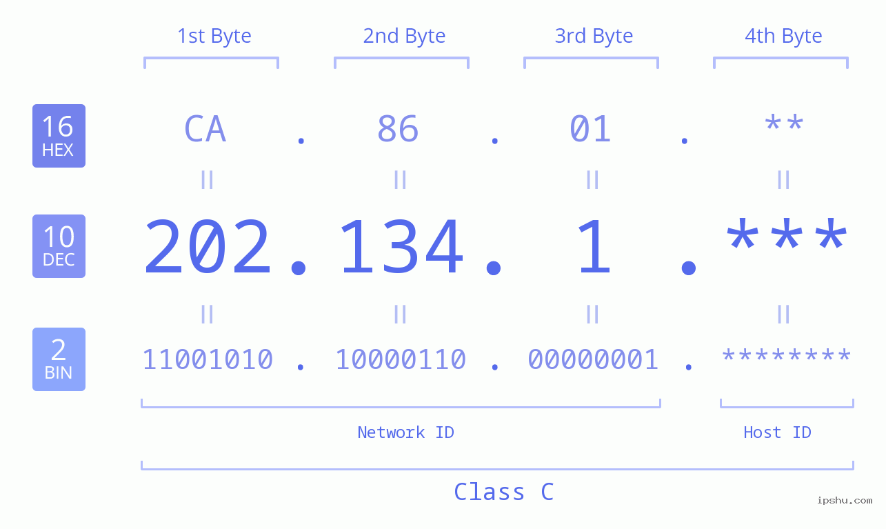 IP Address: 202.134.1 Data Structure Chart BIN DEC HEX IPv4: 202.134.1 Network Class, Net ID, Host ID