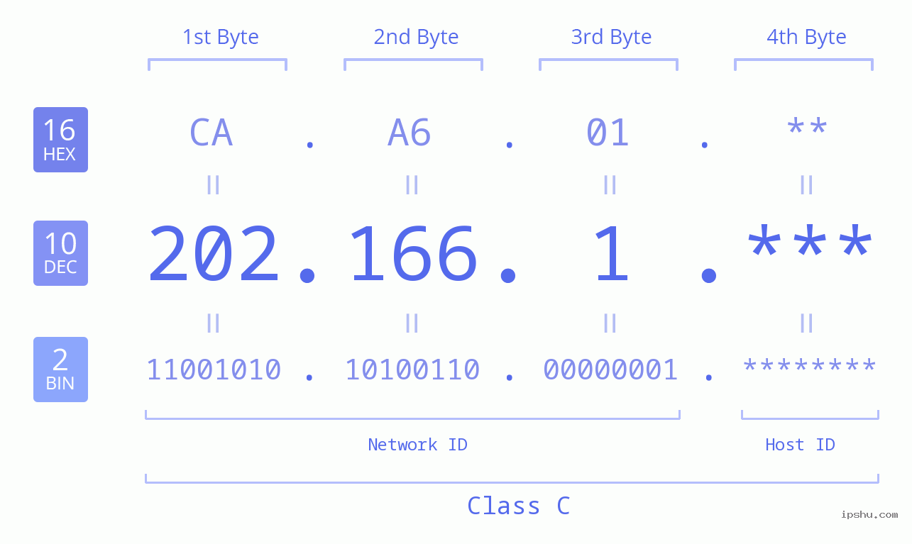 IP Address: 202.166.1 Data Structure Chart BIN DEC HEX IPv4: 202.166.1 Network Class, Net ID, Host ID