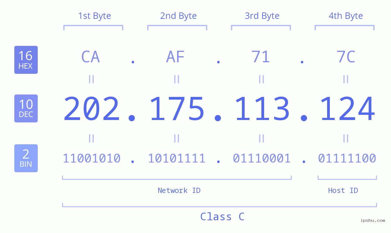 IPv4: 202.175.113.124 Network Class, Net ID, Host ID