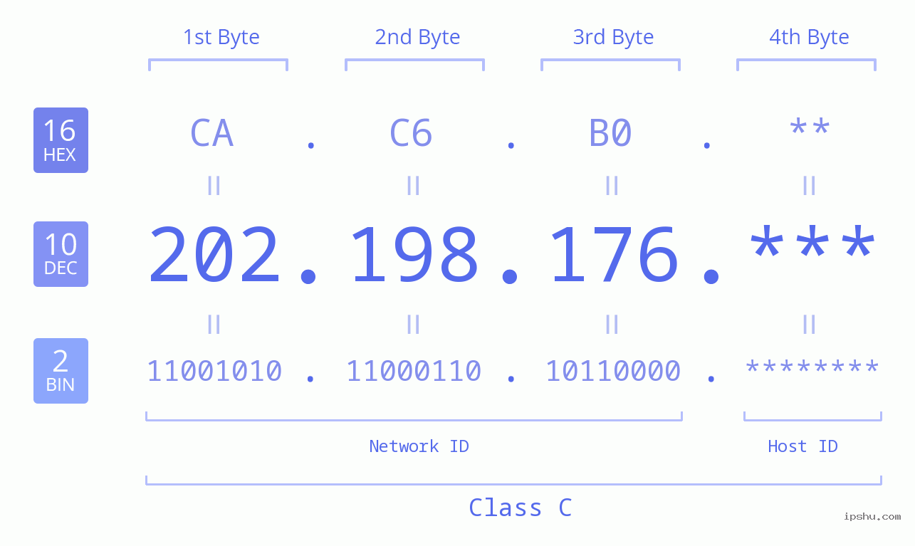IP Address: 202.198.176 Data Structure Chart BIN DEC HEX IPv4: 202.198.176 Network Class, Net ID, Host ID