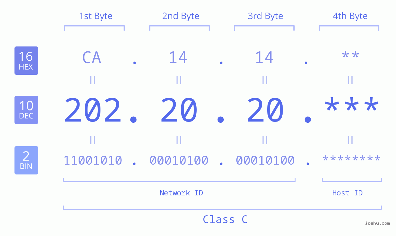 IP Address: 202.20.20 Data Structure Chart BIN DEC HEX IPv4: 202.20.20 Network Class, Net ID, Host ID
