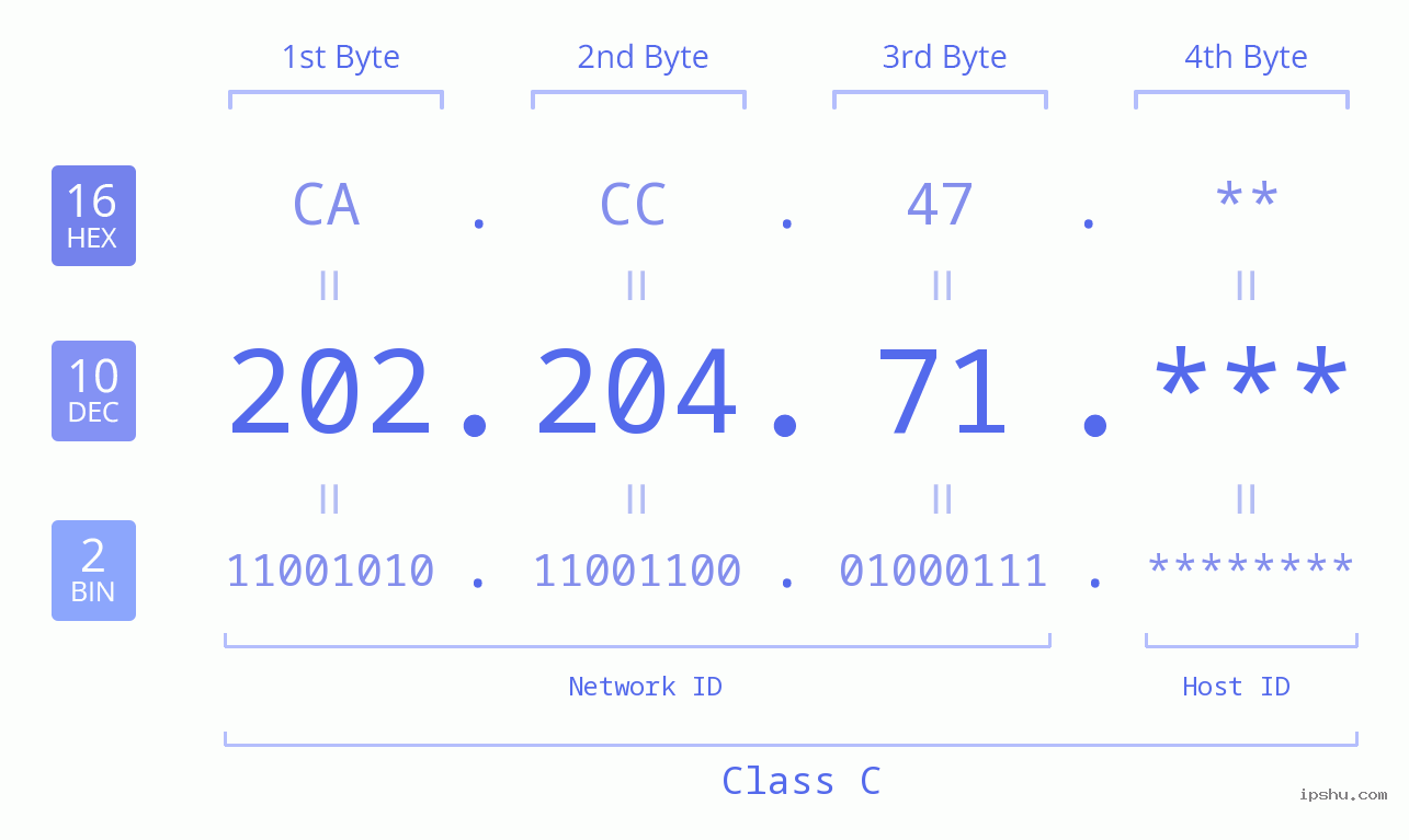 IP Address: 202.204.71 Data Structure Chart BIN DEC HEX IPv4: 202.204.71 Network Class, Net ID, Host ID