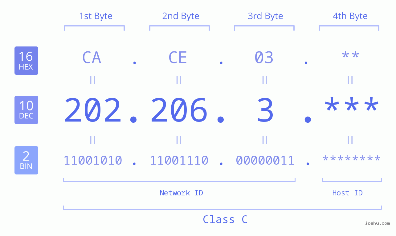 IP Address: 202.206.3 Data Structure Chart BIN DEC HEX IPv4: 202.206.3 Network Class, Net ID, Host ID