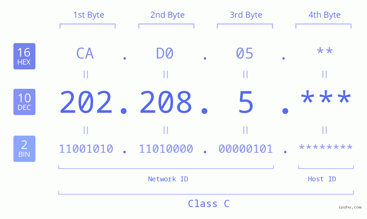 IP Address: 202.208.5 Data Structure Chart BIN DEC HEX IPv4: 202.208.5 Network Class, Net ID, Host ID
