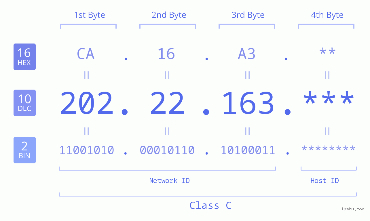 IP Address: 202.22.163 Data Structure Chart BIN DEC HEX IPv4: 202.22.163 Network Class, Net ID, Host ID