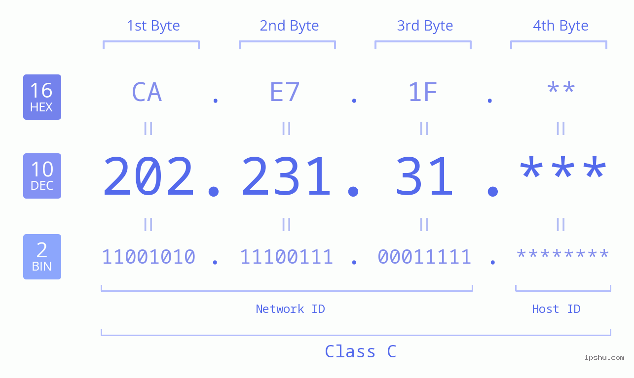IP Address: 202.231.31 Data Structure Chart BIN DEC HEX IPv4: 202.231.31 Network Class, Net ID, Host ID