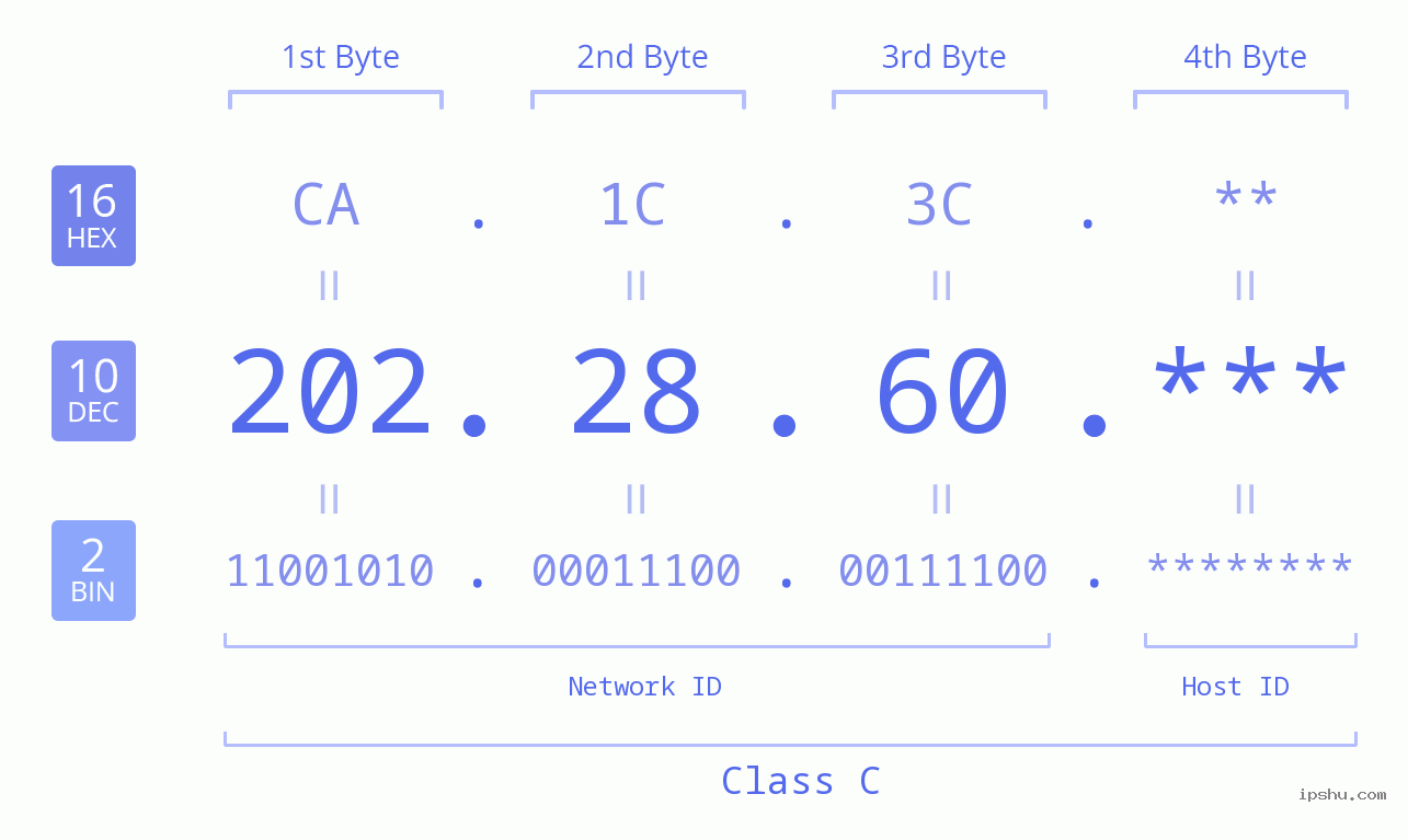 IP Address: 202.28.60 Data Structure Chart BIN DEC HEX IPv4: 202.28.60 Network Class, Net ID, Host ID