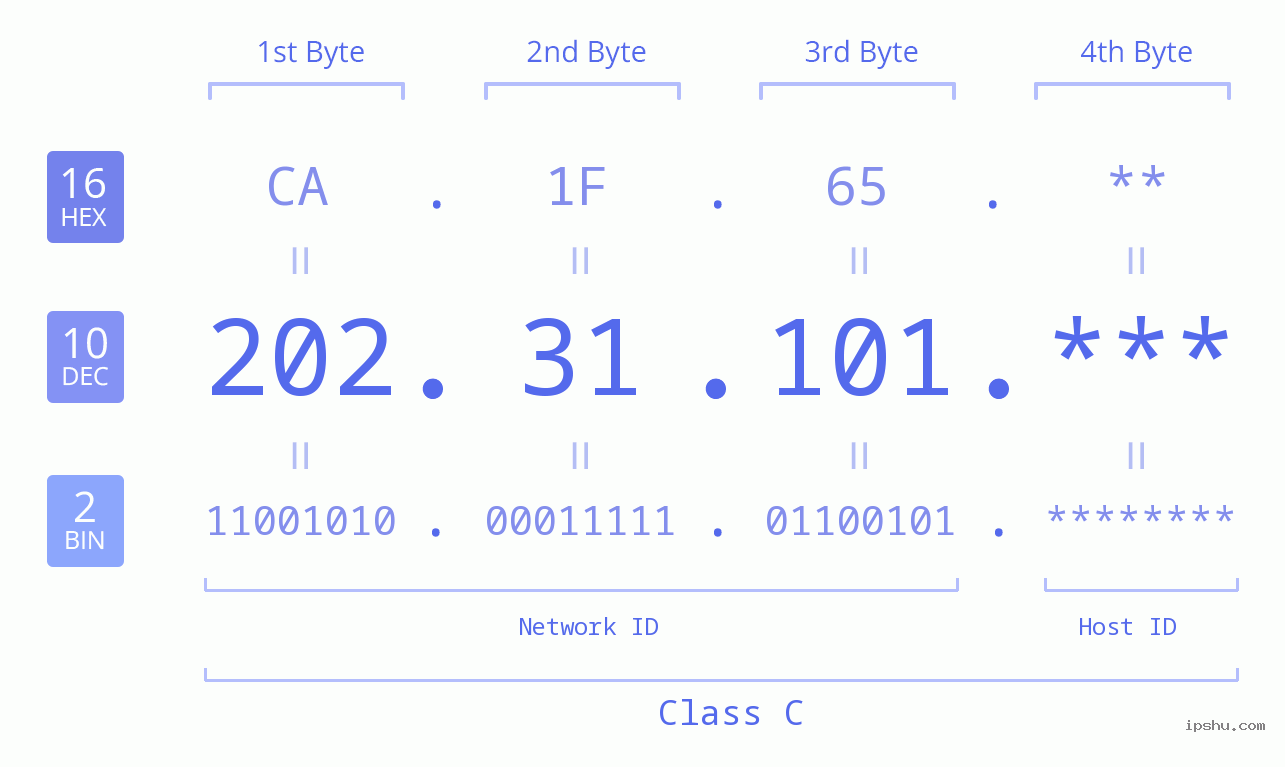 IP Address: 202.31.101 Data Structure Chart BIN DEC HEX IPv4: 202.31.101 Network Class, Net ID, Host ID