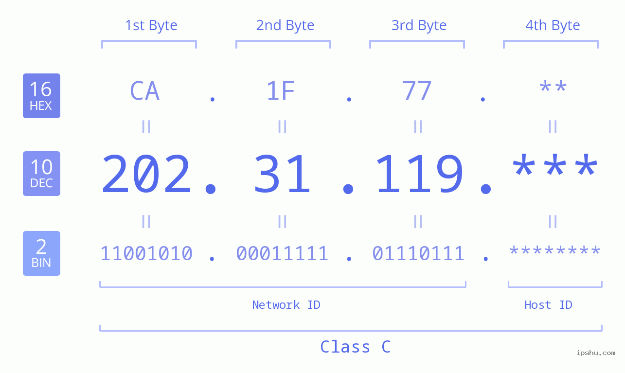 IP Address: 202.31.119 Data Structure Chart BIN DEC HEX IPv4: 202.31.119 Network Class, Net ID, Host ID