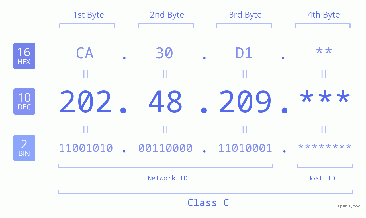 IP Address: 202.48.209 Data Structure Chart BIN DEC HEX IPv4: 202.48.209 Network Class, Net ID, Host ID