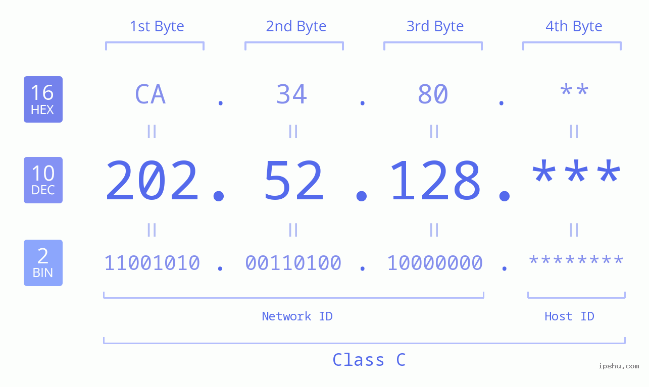 IP Address: 202.52.128 Data Structure Chart BIN DEC HEX IPv4: 202.52.128 Network Class, Net ID, Host ID