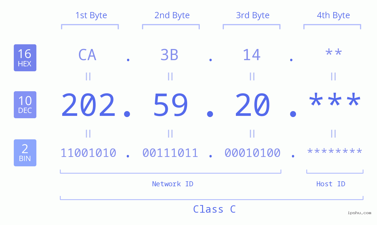 IP Address: 202.59.20 Data Structure Chart BIN DEC HEX IPv4: 202.59.20 Network Class, Net ID, Host ID
