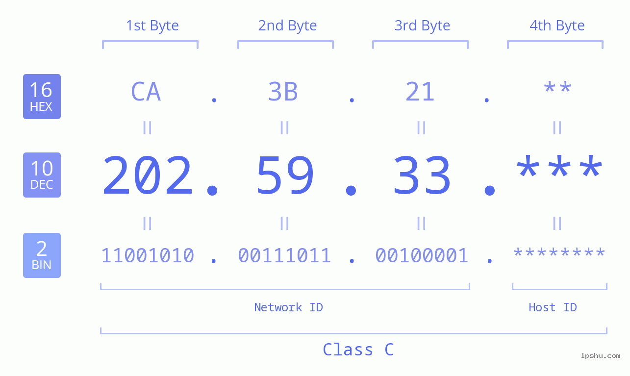 IP Address: 202.59.33 Data Structure Chart BIN DEC HEX IPv4: 202.59.33 Network Class, Net ID, Host ID