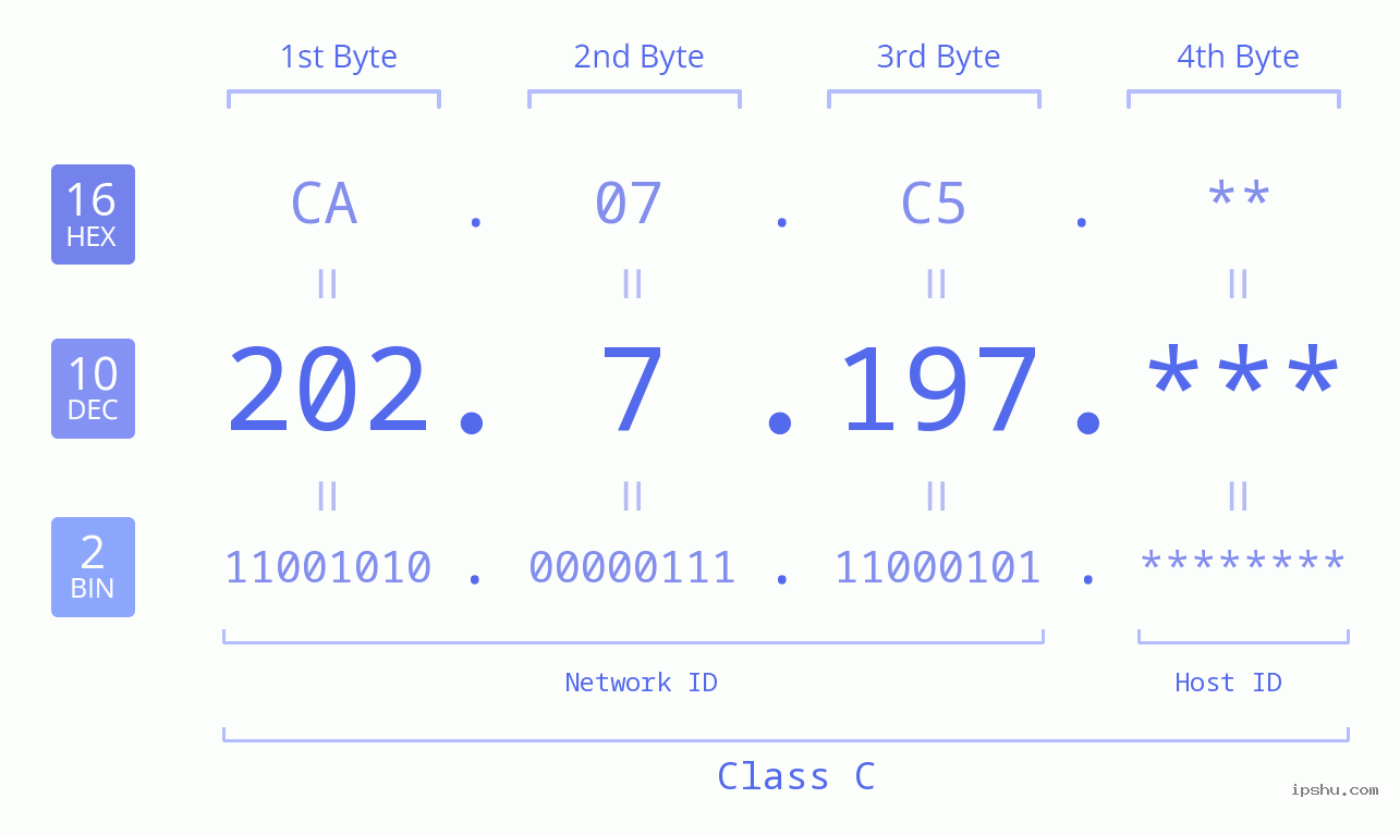 IP Address: 202.7.197 Data Structure Chart BIN DEC HEX IPv4: 202.7.197 Network Class, Net ID, Host ID
