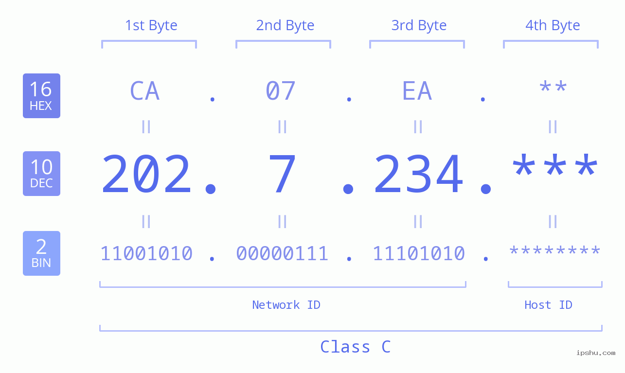 IP Address: 202.7.234 Data Structure Chart BIN DEC HEX IPv4: 202.7.234 Network Class, Net ID, Host ID