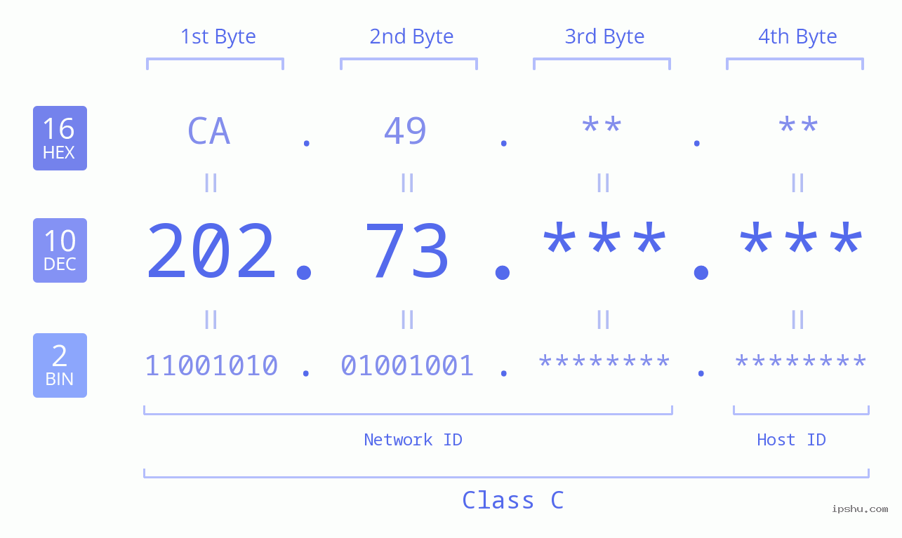 IP Address: 202.73 Data Structure Chart BIN DEC HEX IPv4: 202.73 Network Class, Net ID, Host ID