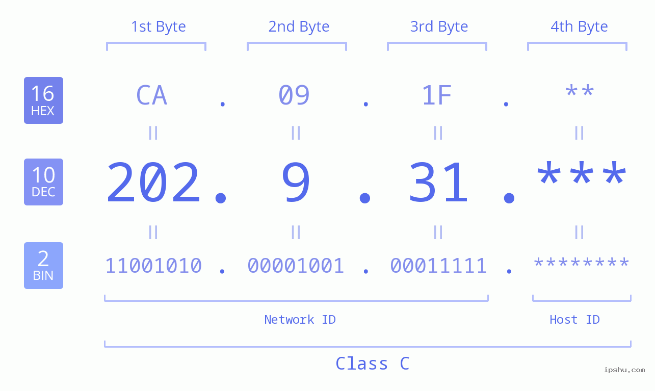 IP Address: 202.9.31 Data Structure Chart BIN DEC HEX IPv4: 202.9.31 Network Class, Net ID, Host ID