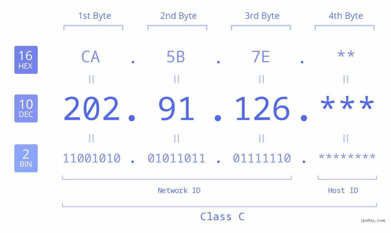IP Address: 202.91.126 Data Structure Chart BIN DEC HEX IPv4: 202.91.126 Network Class, Net ID, Host ID