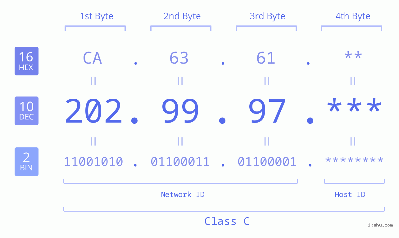 IP Address: 202.99.97 Data Structure Chart BIN DEC HEX IPv4: 202.99.97 Network Class, Net ID, Host ID