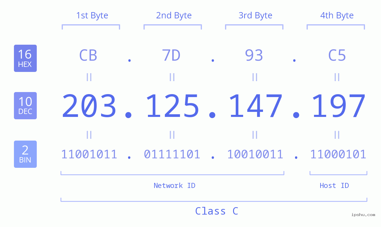 IPv4: 203.125.147.197 Network Class, Net ID, Host ID