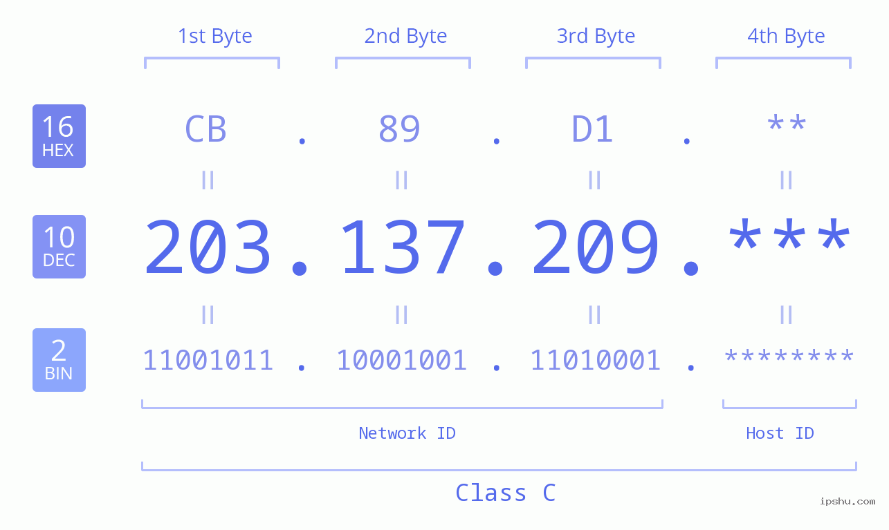 IP Address: 203.137.209 Data Structure Chart BIN DEC HEX IPv4: 203.137.209 Network Class, Net ID, Host ID