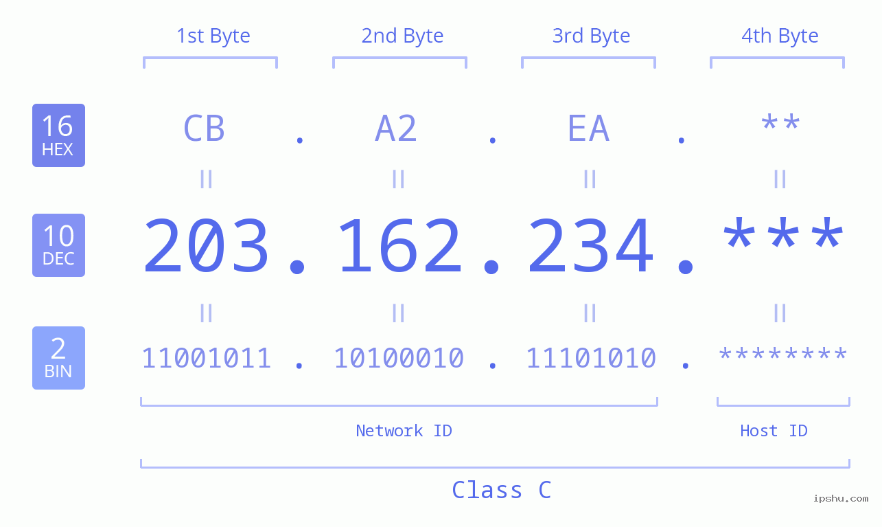 IP Address: 203.162.234 Data Structure Chart BIN DEC HEX IPv4: 203.162.234 Network Class, Net ID, Host ID