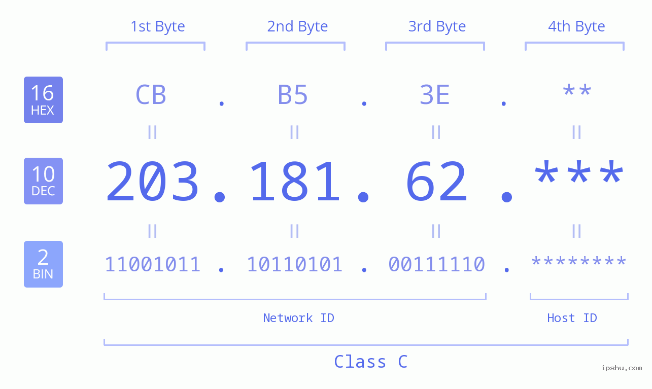 IP Address: 203.181.62 Data Structure Chart BIN DEC HEX IPv4: 203.181.62 Network Class, Net ID, Host ID