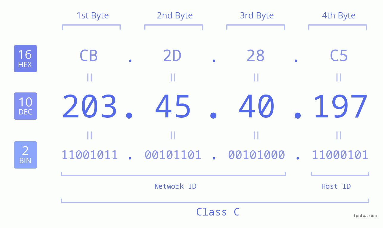 IP Address: 203.45.40.197 Data Structure Chart BIN DEC HEX IPv4: 203.45.40.197 Network Class, Net ID, Host ID