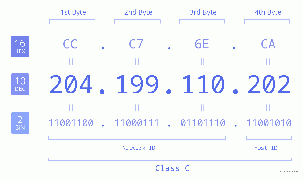 IP Address: 204.199.110.202 Data Structure Chart BIN DEC HEX IPv4: 204.199.110.202 Network Class, Net ID, Host ID