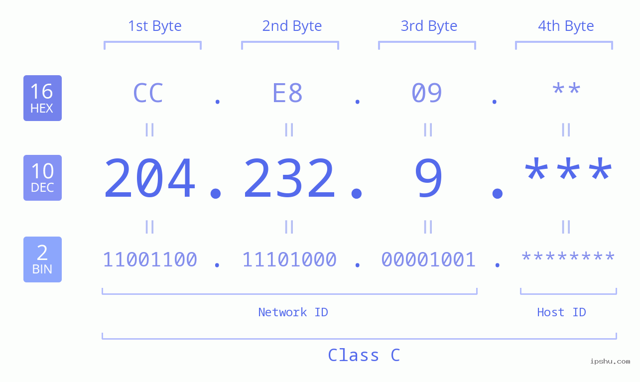 IP Address: 204.232.9 Data Structure Chart BIN DEC HEX IPv4: 204.232.9 Network Class, Net ID, Host ID