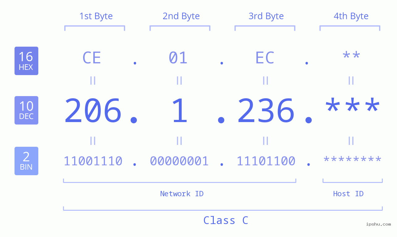 IP Address: 206.1.236 Data Structure Chart BIN DEC HEX IPv4: 206.1.236 Network Class, Net ID, Host ID