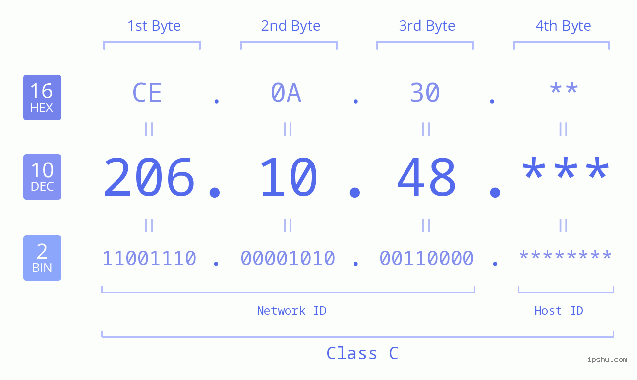 IP Address: 206.10.48 Data Structure Chart BIN DEC HEX IPv4: 206.10.48 Network Class, Net ID, Host ID