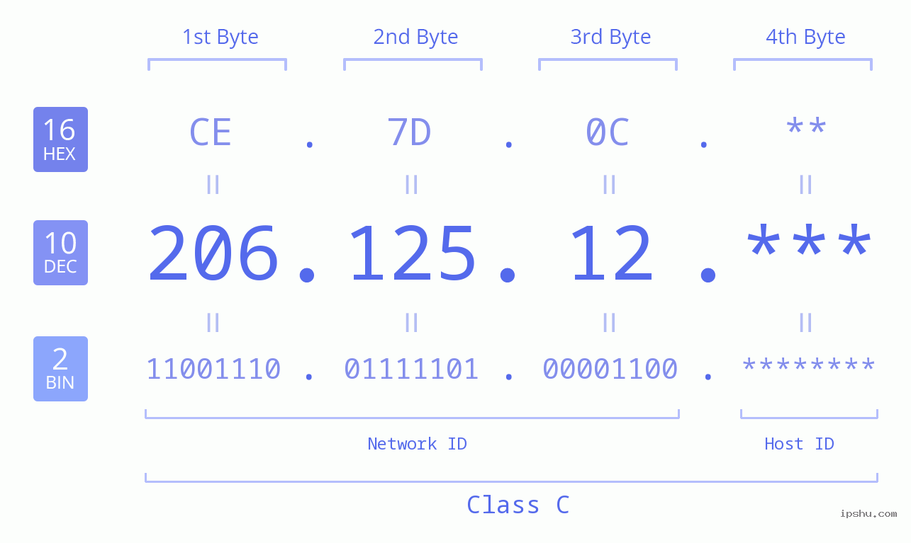 IP Address: 206.125.12 Data Structure Chart BIN DEC HEX IPv4: 206.125.12 Network Class, Net ID, Host ID