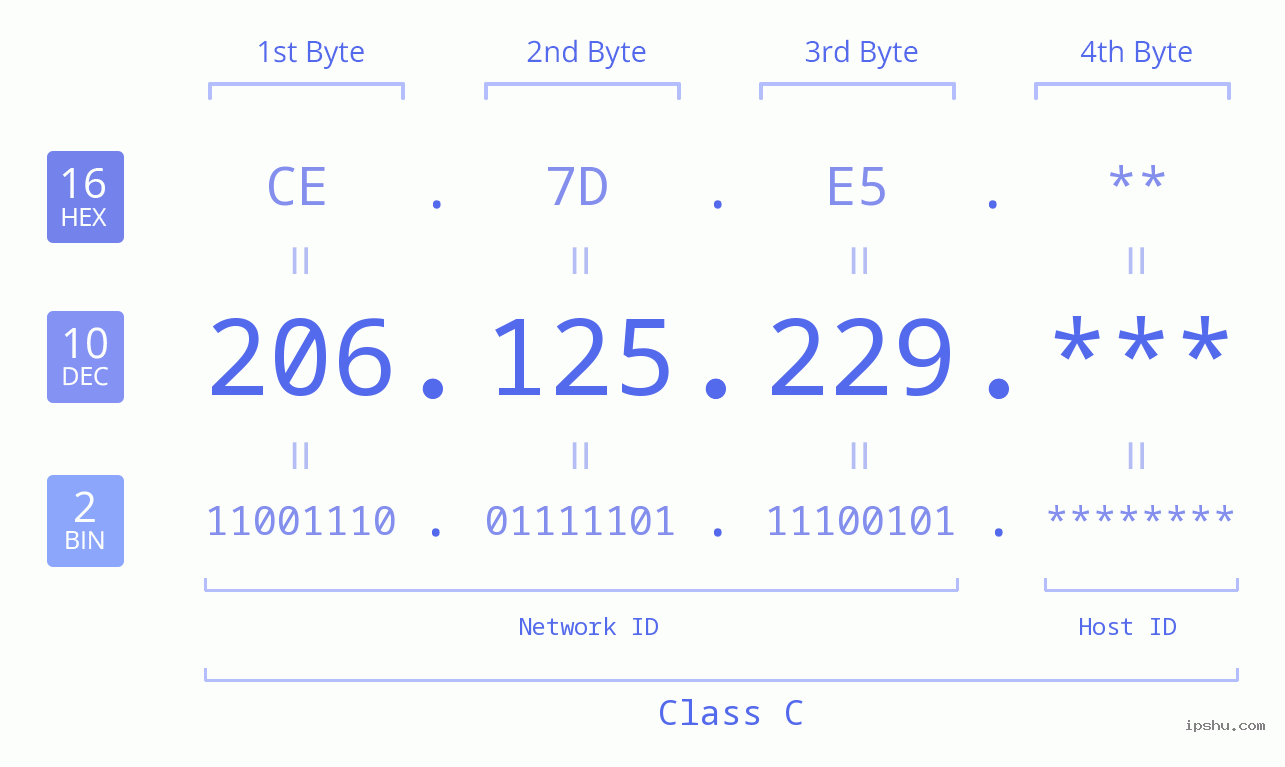 IP Address: 206.125.229 Data Structure Chart BIN DEC HEX IPv4: 206.125.229 Network Class, Net ID, Host ID