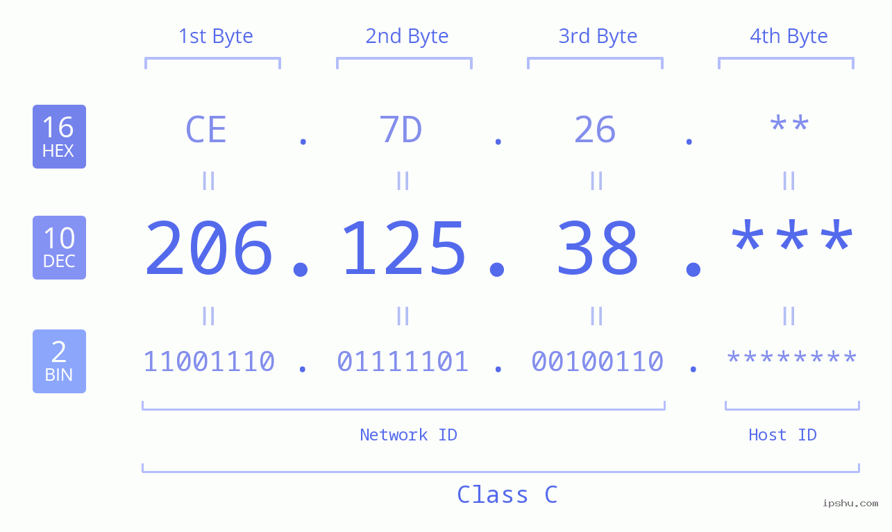 IP Address: 206.125.38 Data Structure Chart BIN DEC HEX IPv4: 206.125.38 Network Class, Net ID, Host ID