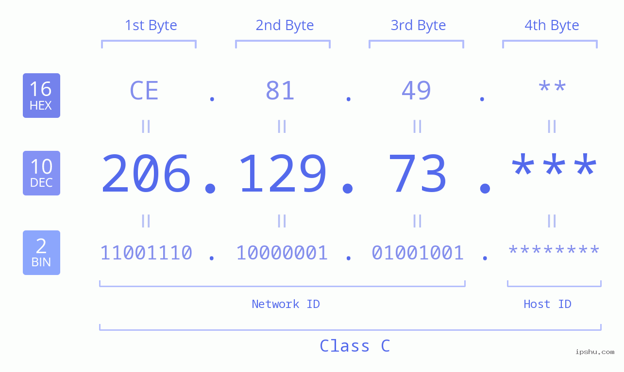 IP Address: 206.129.73 Data Structure Chart BIN DEC HEX IPv4: 206.129.73 Network Class, Net ID, Host ID