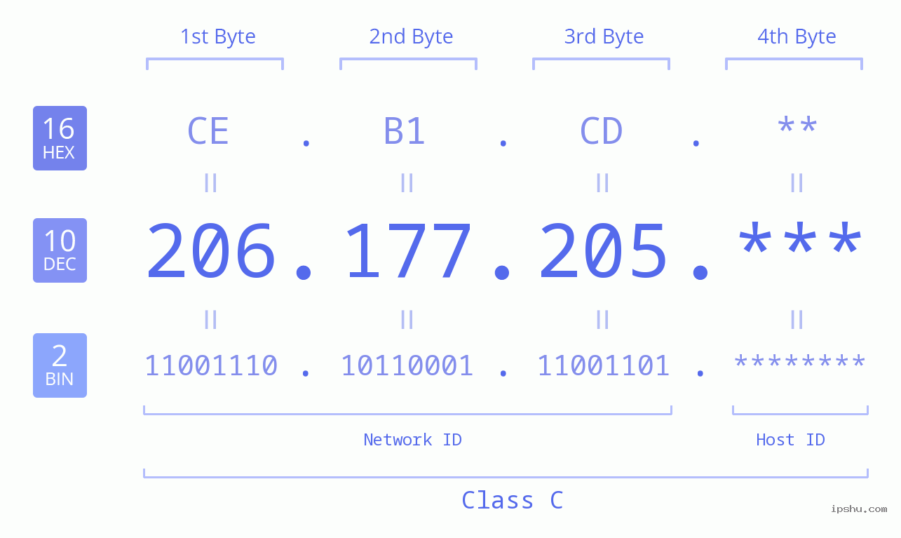 IP Address: 206.177.205 Data Structure Chart BIN DEC HEX IPv4: 206.177.205 Network Class, Net ID, Host ID