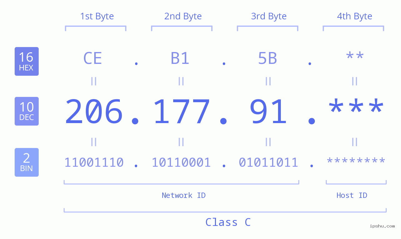IP Address: 206.177.91 Data Structure Chart BIN DEC HEX IPv4: 206.177.91 Network Class, Net ID, Host ID
