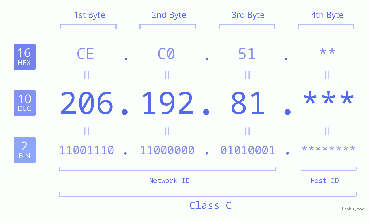 IP Address: 206.192.81 Data Structure Chart BIN DEC HEX IPv4: 206.192.81 Network Class, Net ID, Host ID