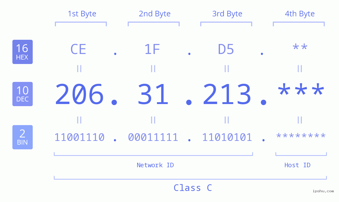 IP Address: 206.31.213 Data Structure Chart BIN DEC HEX IPv4: 206.31.213 Network Class, Net ID, Host ID