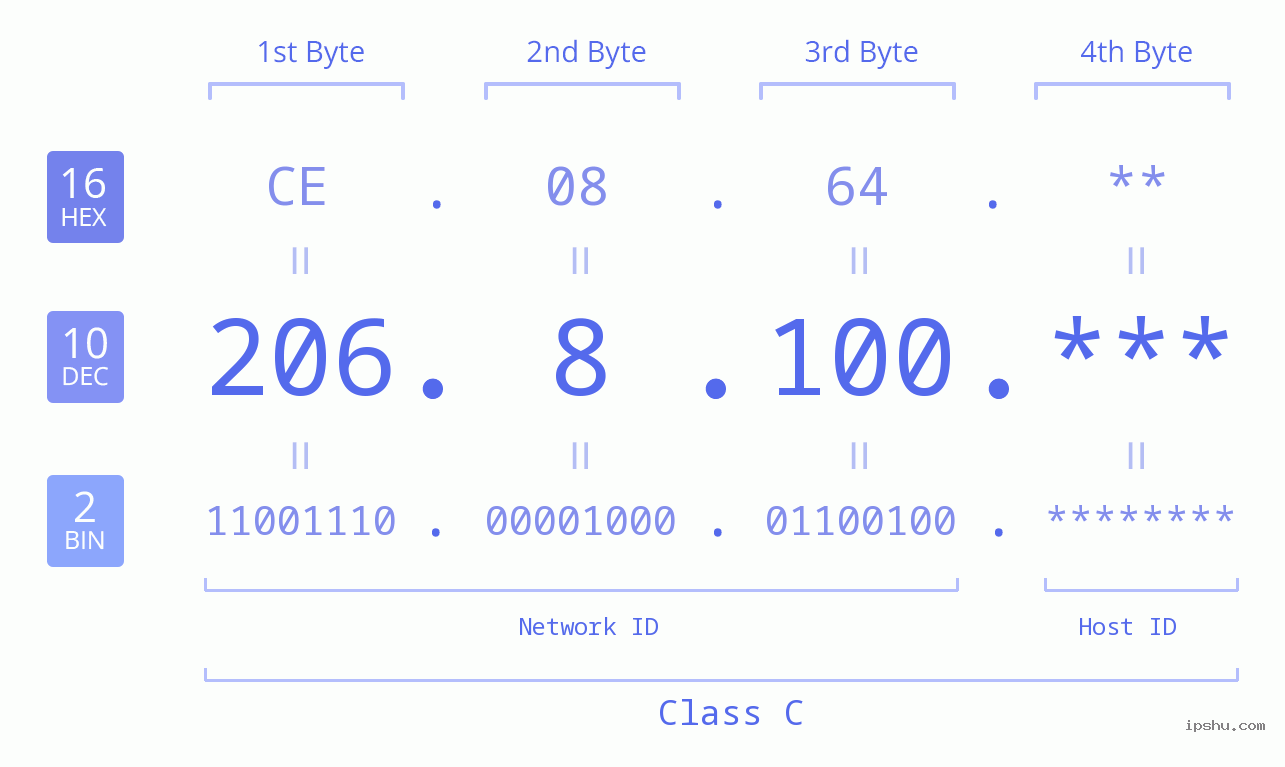 IP Address: 206.8.100 Data Structure Chart BIN DEC HEX IPv4: 206.8.100 Network Class, Net ID, Host ID