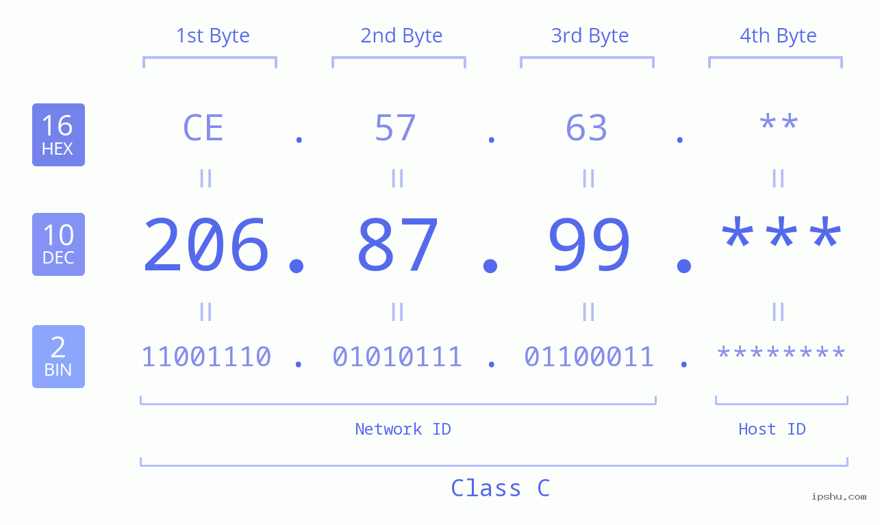 IP Address: 206.87.99 Data Structure Chart BIN DEC HEX IPv4: 206.87.99 Network Class, Net ID, Host ID
