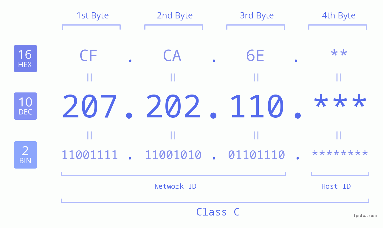 IP Address: 207.202.110 Data Structure Chart BIN DEC HEX IPv4: 207.202.110 Network Class, Net ID, Host ID